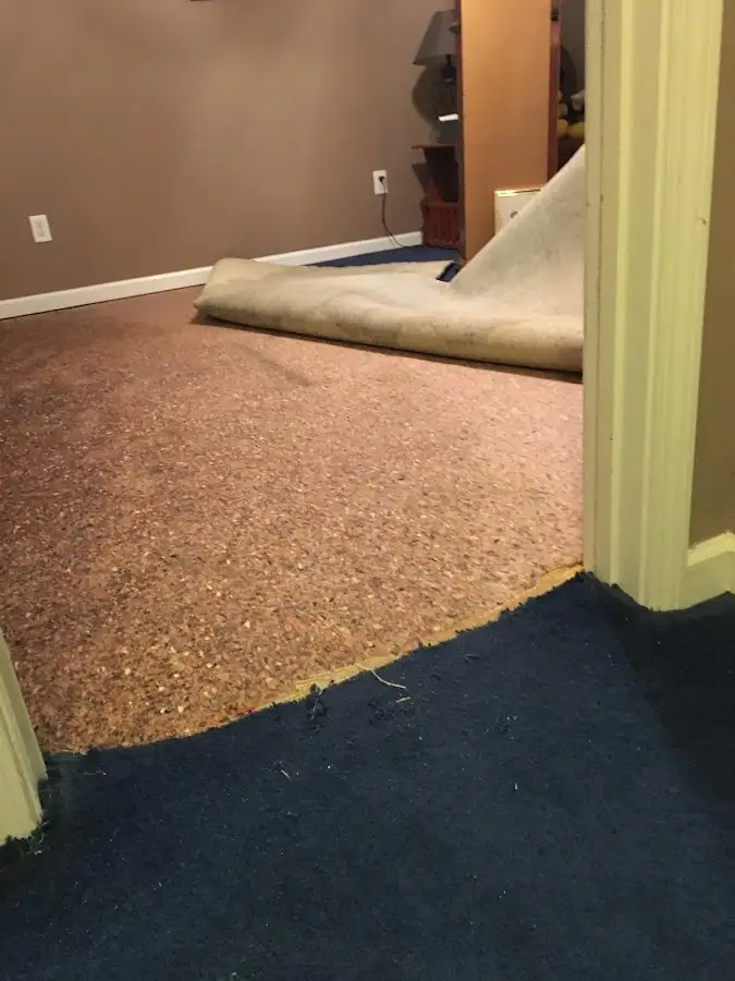 Carpet pad removal revealing water damage during Drying & Dehumidification in Bennington