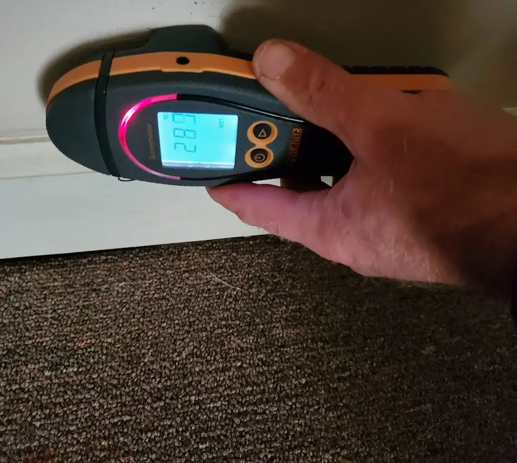 Moisture detection at baseboard during Mold Inspection & Testing in Bennington
